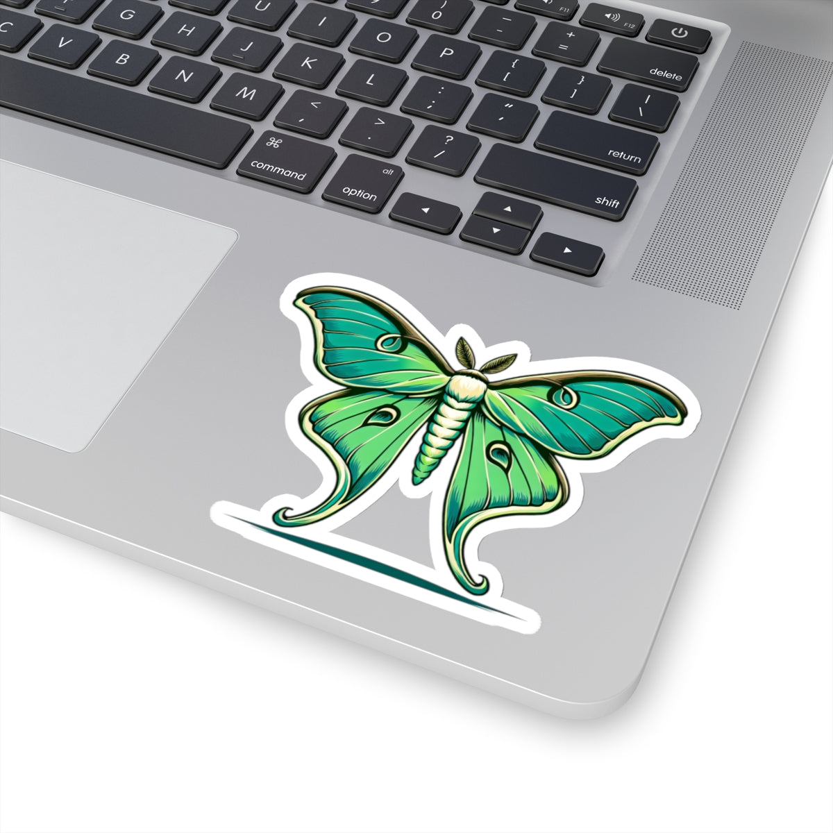 Stickers & Magnets