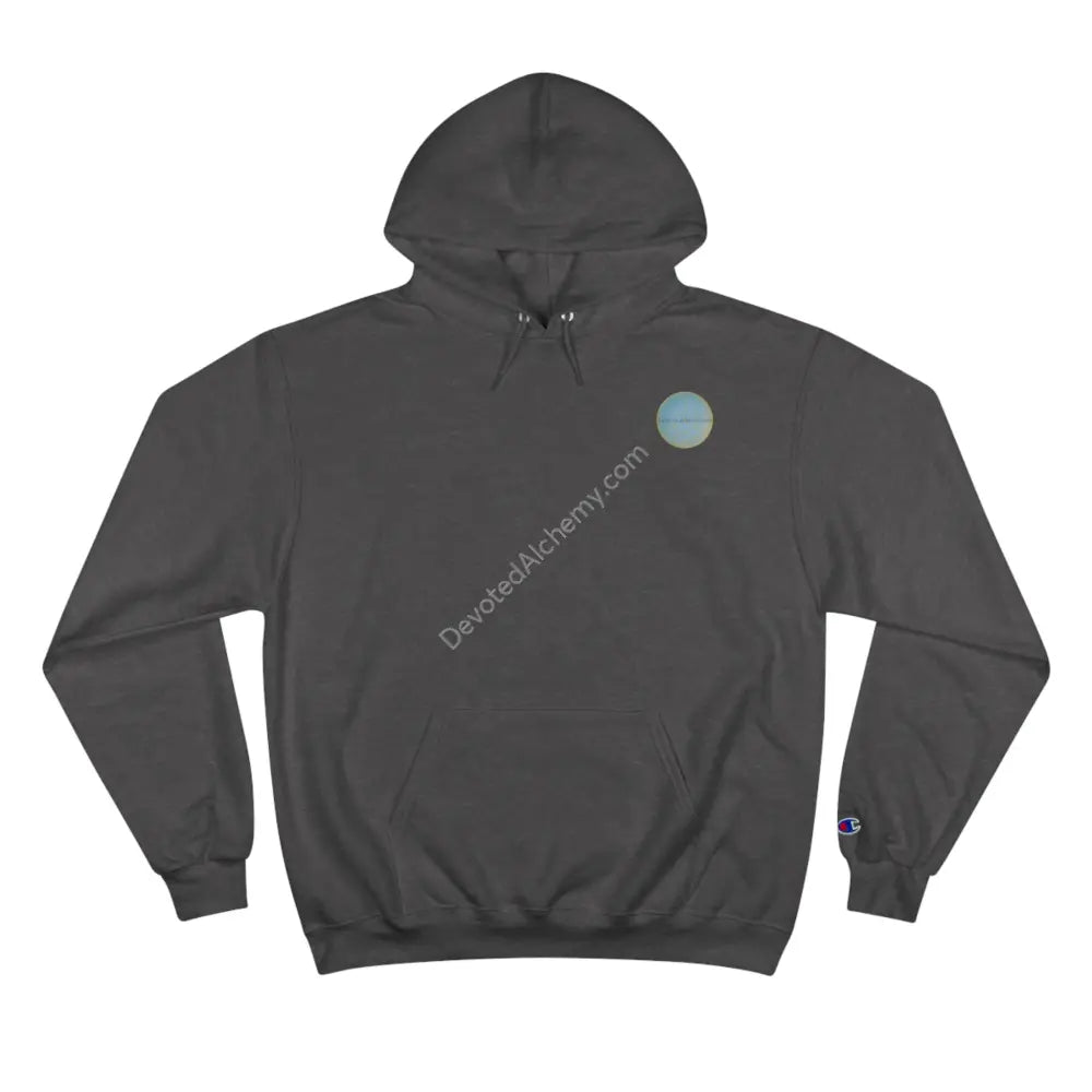 Lion Spirit Flower Of Life Champion Hoodie | Cosmic Vibes Perfect For Nature Lovers Charcoal